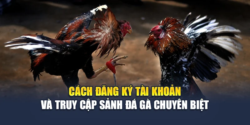Cách đăng ký tài khoản và truy cập sảnh đá gà chuyên biệt