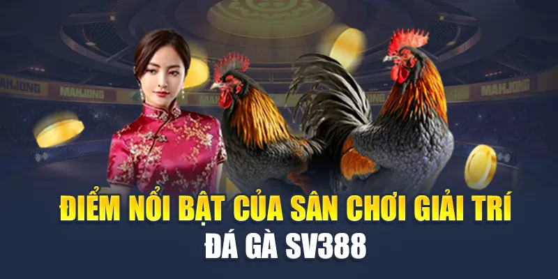 Điểm nổi bật của sân chơi giải trí đá gà SV388 